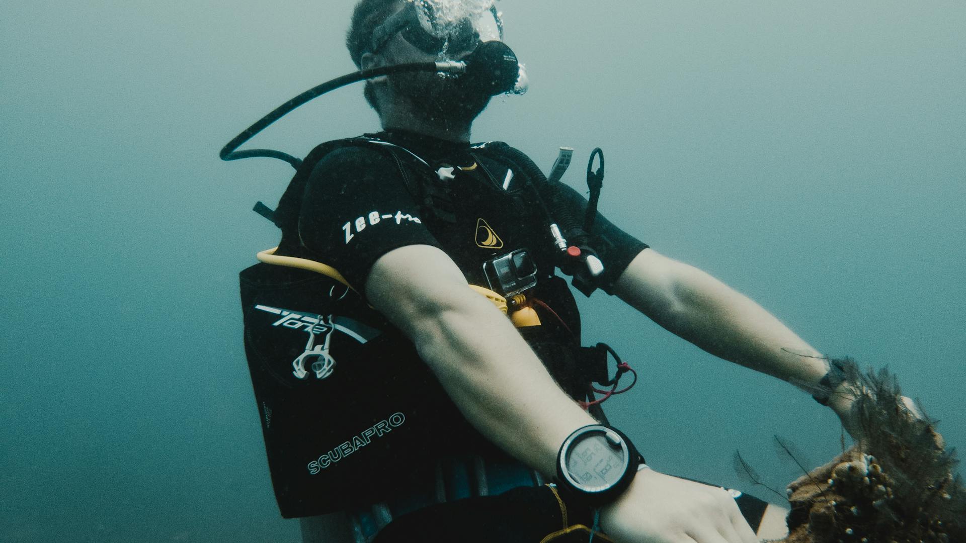 pexels-photo-33201665